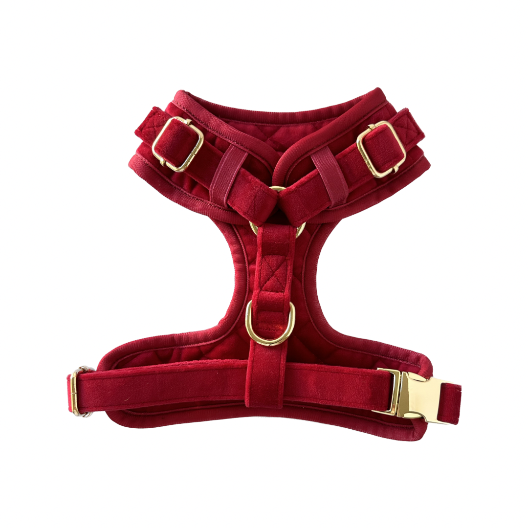 Velvet Harness - Red