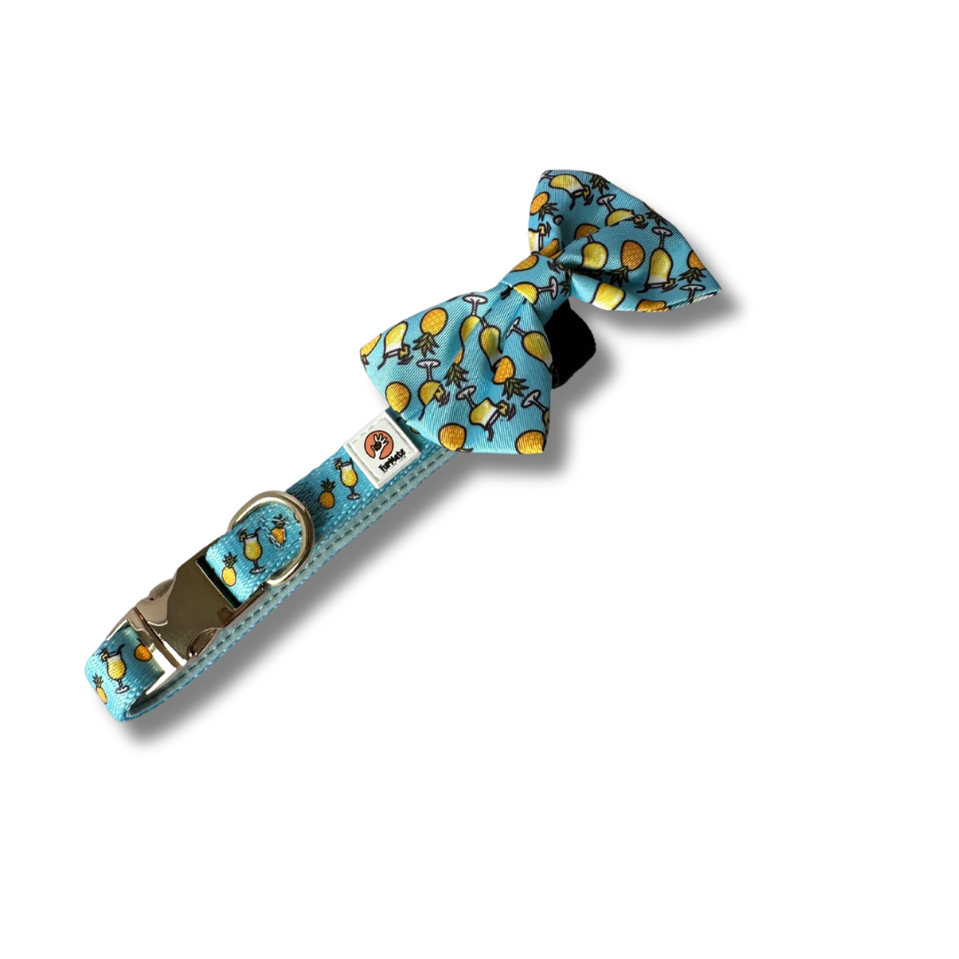 Pawty Pina Colada Bow Tie