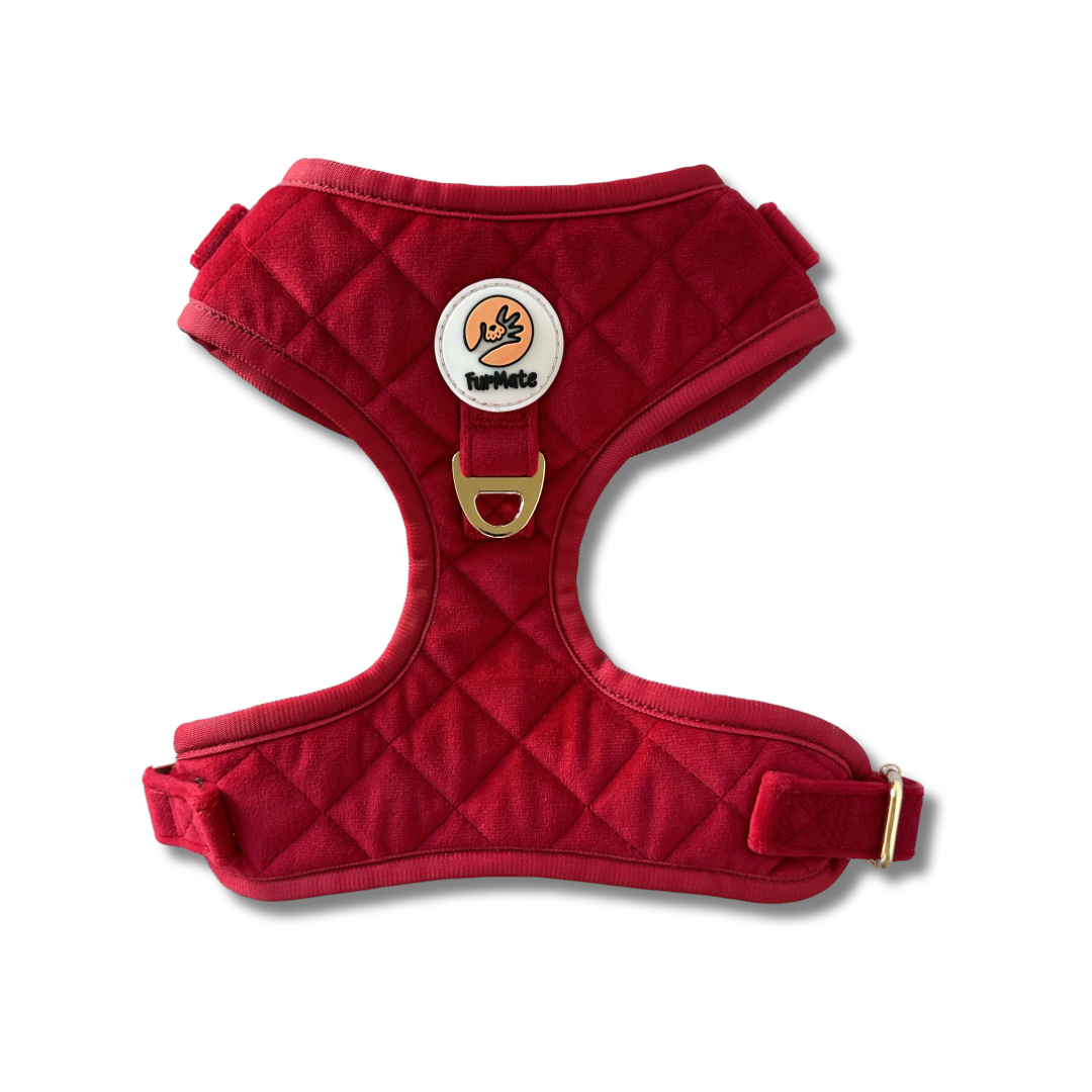 Velvet Harness - Red