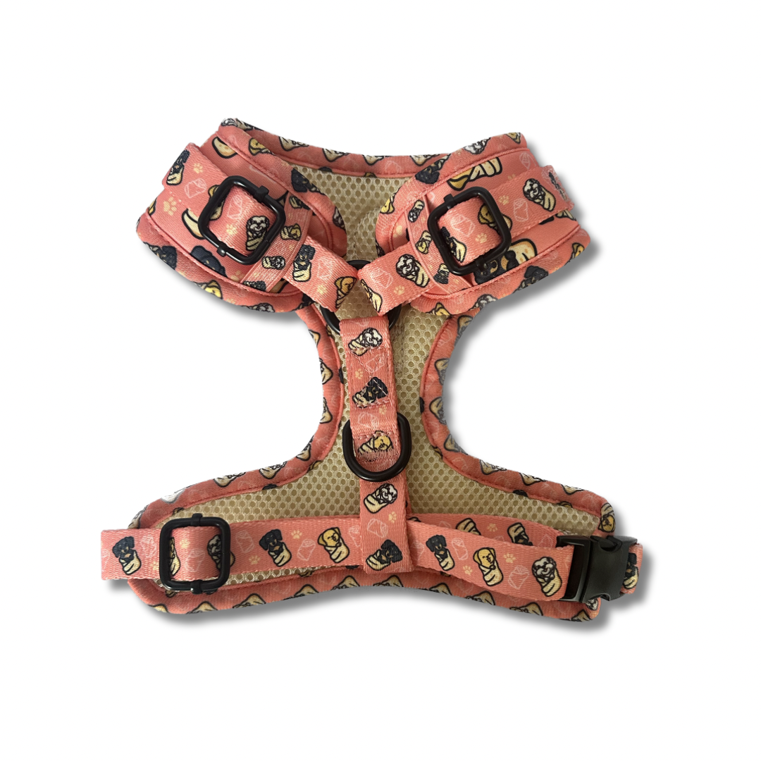 Blanket-Burrito Pup's Harness