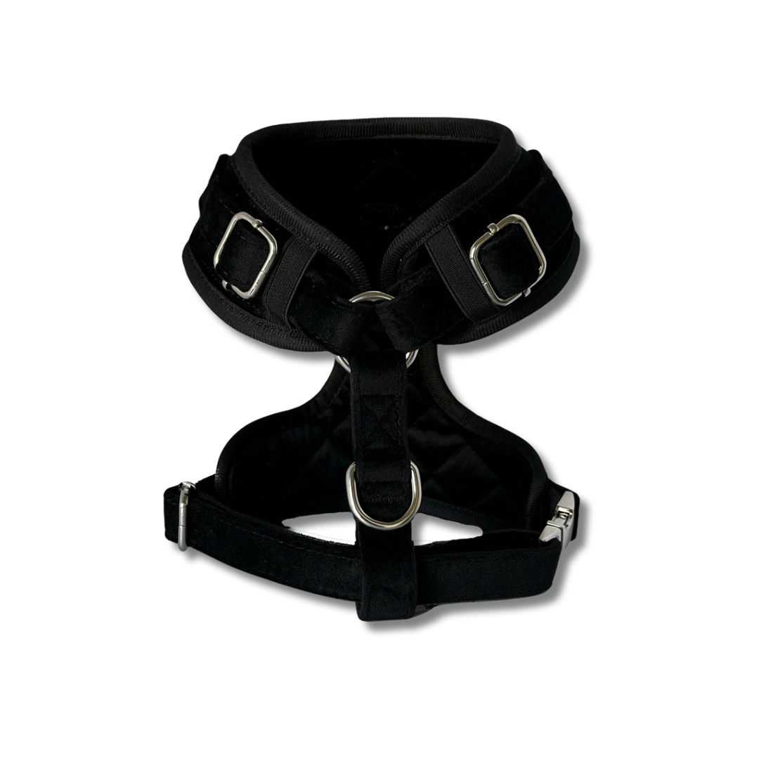 Velvet Harness - Black