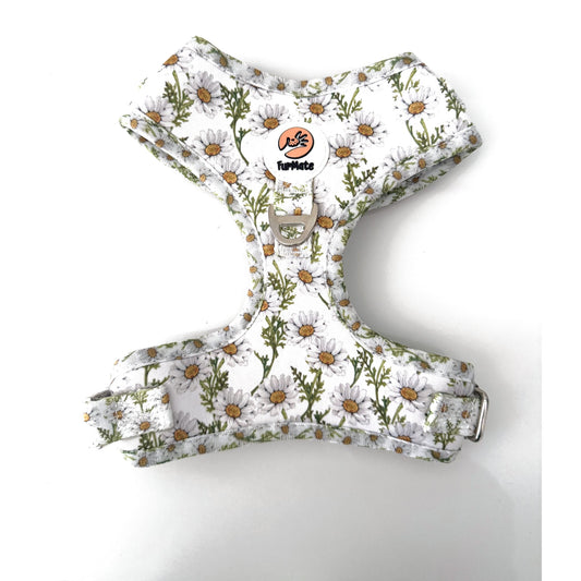 Daises Harness
