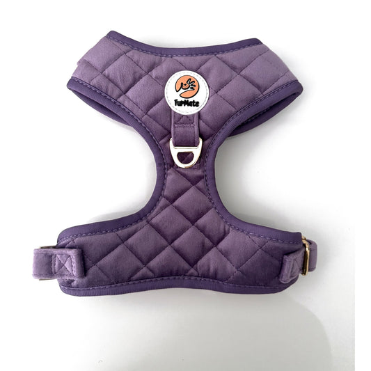 Velvet Harness - Lilac