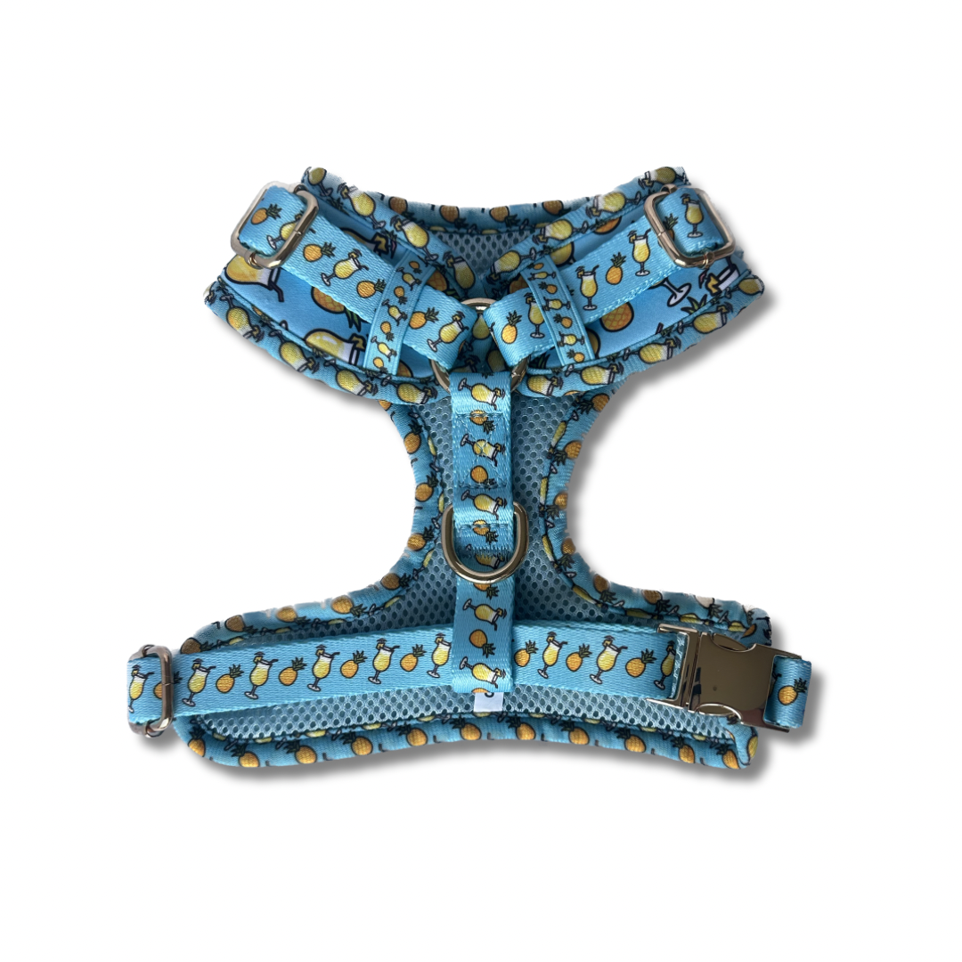 Pawty Pina Colada Harness