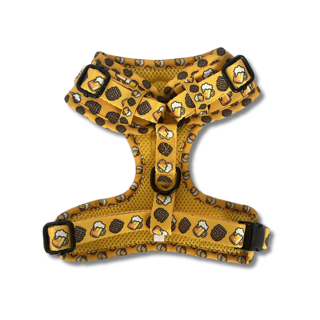 Pawty Paws & Pints Harness